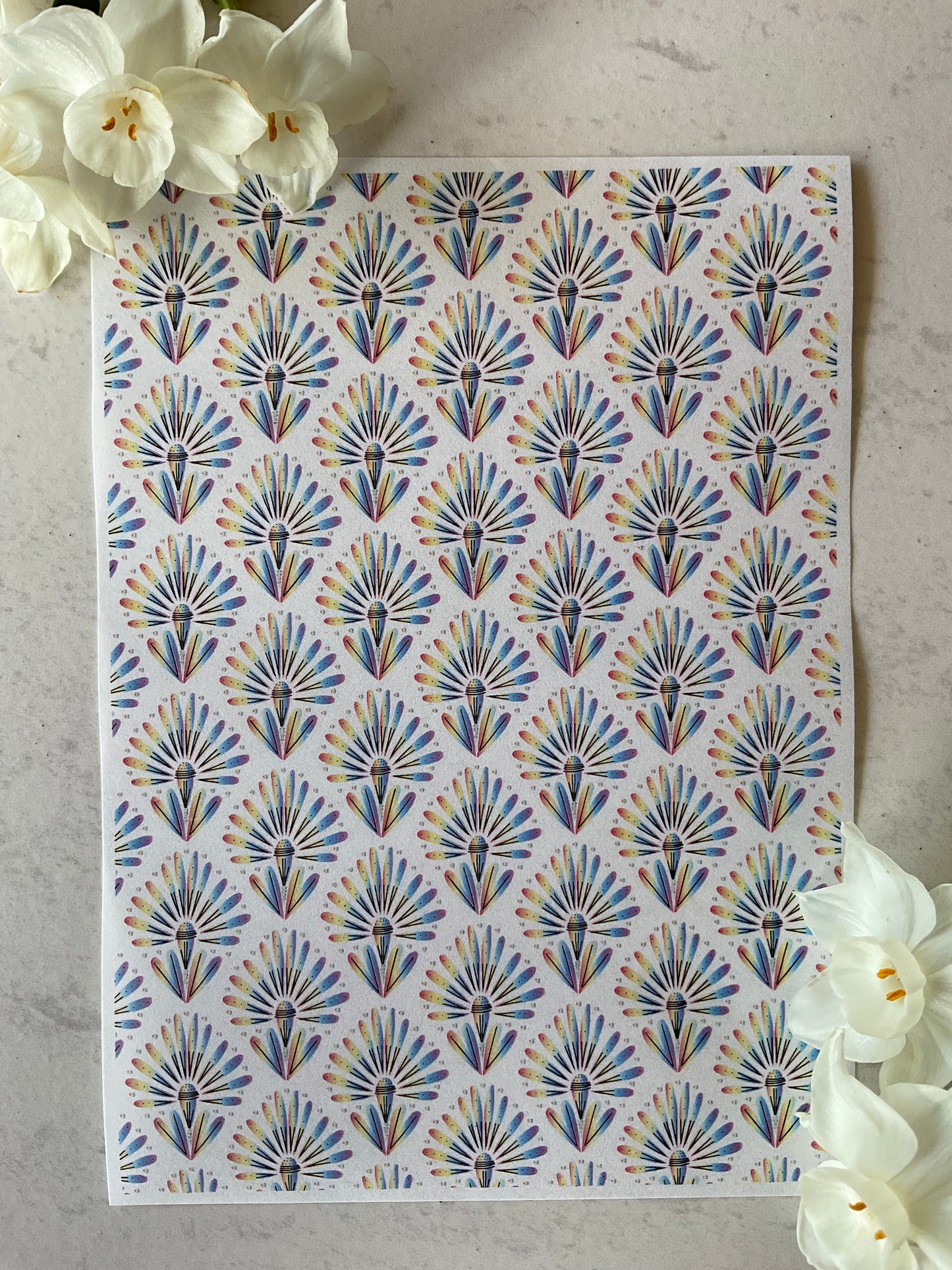 Rainbow Banksia Fireworks Collab Colour Water Soluble Transfer - Me Oh My Graphics x Coral Cockatoo 05