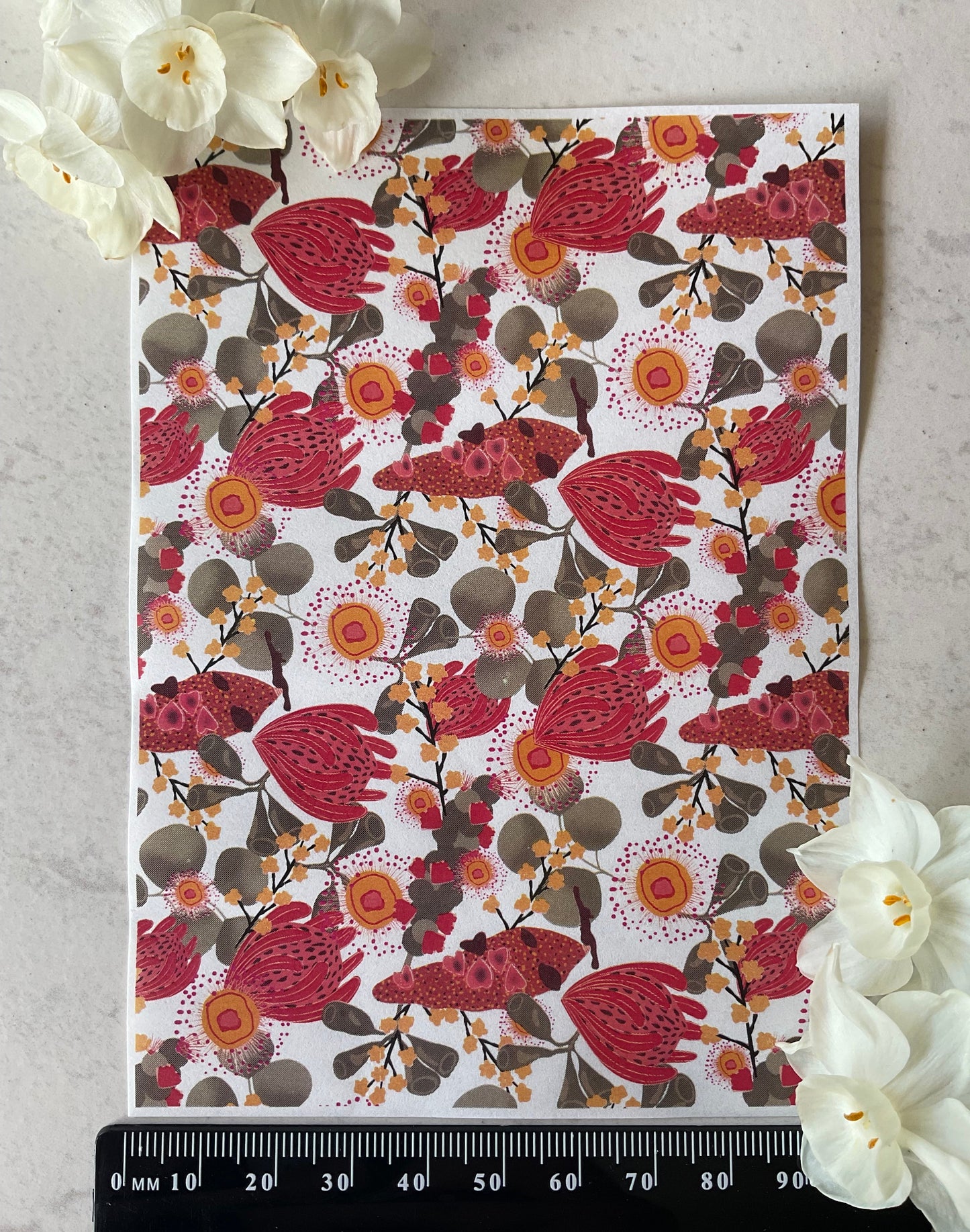 Australian Botanicals in Bloom Collab Colour Water Soluble Transfer - Me Oh My Graphics x Coral Cockatoo 07