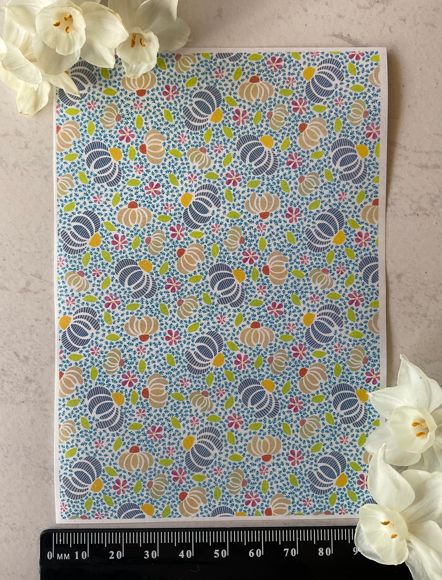 Striped Daisies Collab Colour Water Soluble Transfer - Me Oh My Graphics x Coral Cockatoo 03