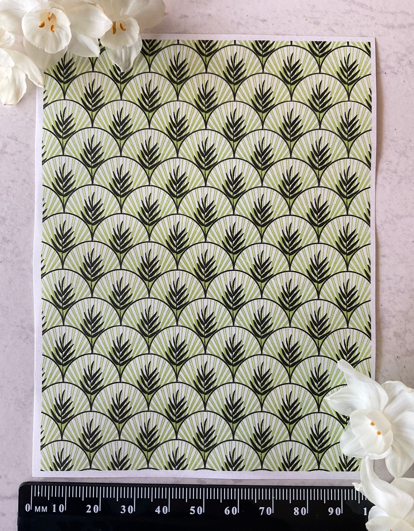 Art Deco Palm Scallops Only in Lime Collab Colour Water Soluble Transfer - Me Oh My Graphics x Coral Cockatoo 28