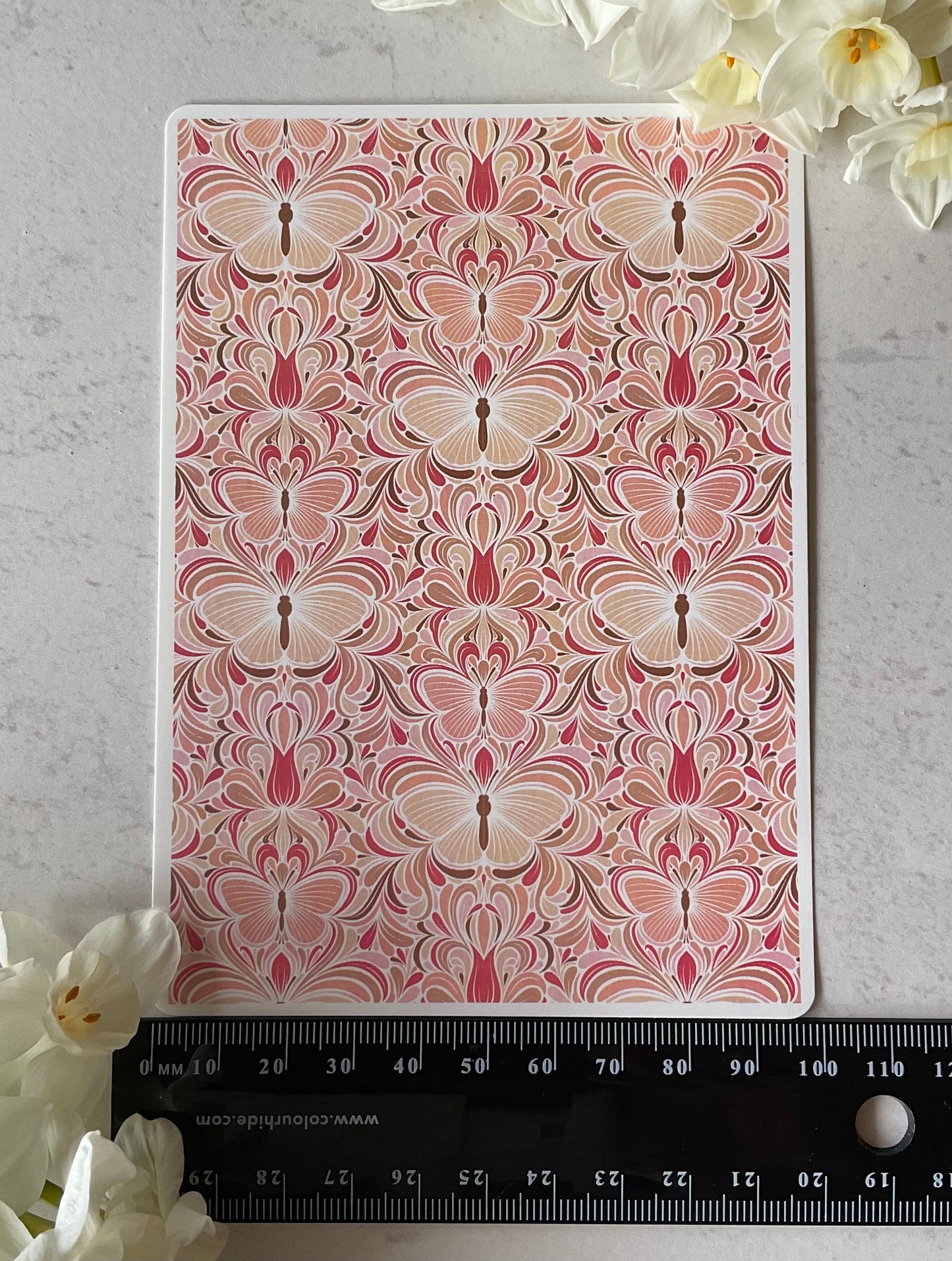 Nouveau Ivory & Peach Moths Water Transfer 177