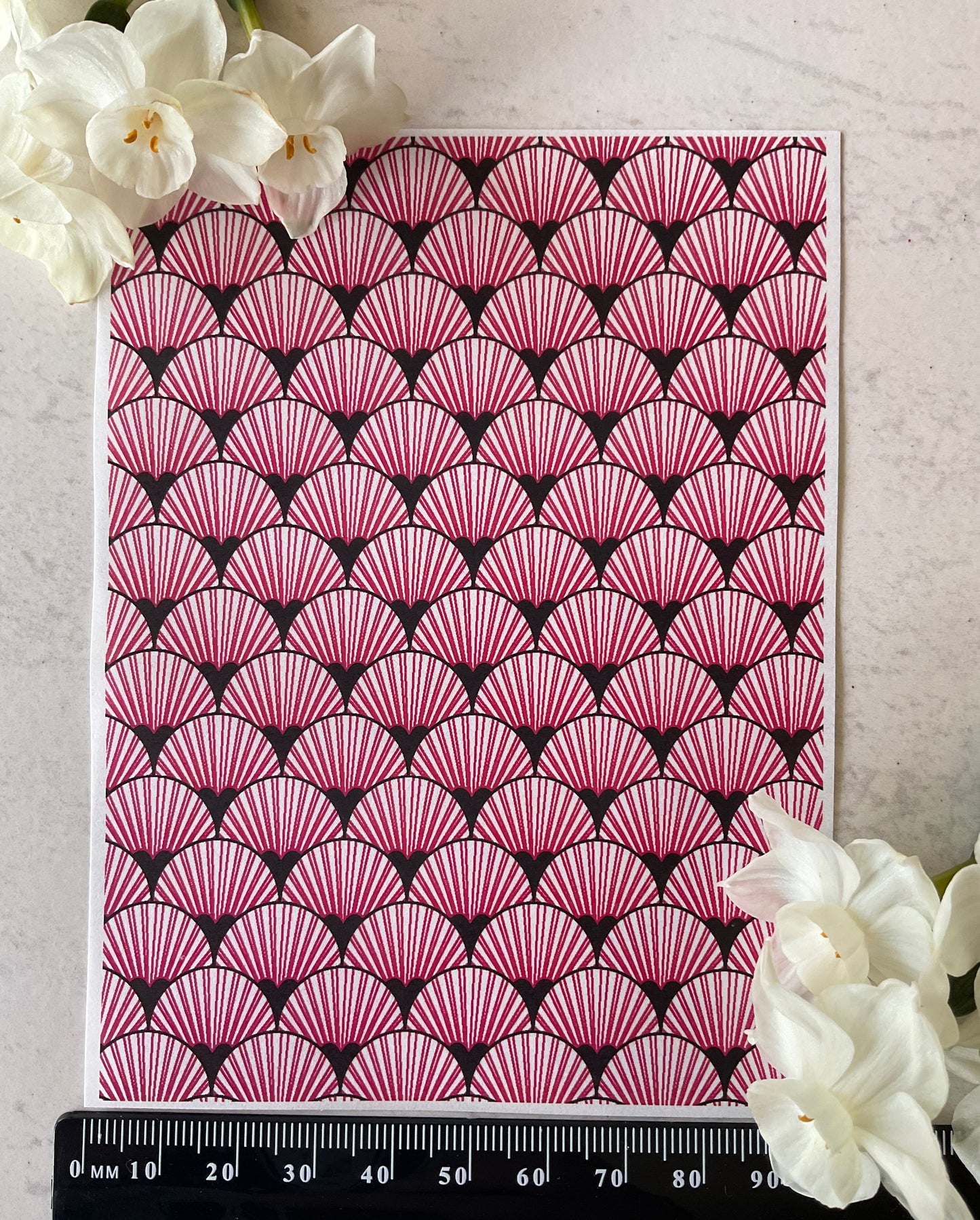 Art Deco Fan Scallops Only in Ravishing Raspberry Collab Colour Water Soluble Transfer - Me Oh My Graphics x Coral Cockatoo 32