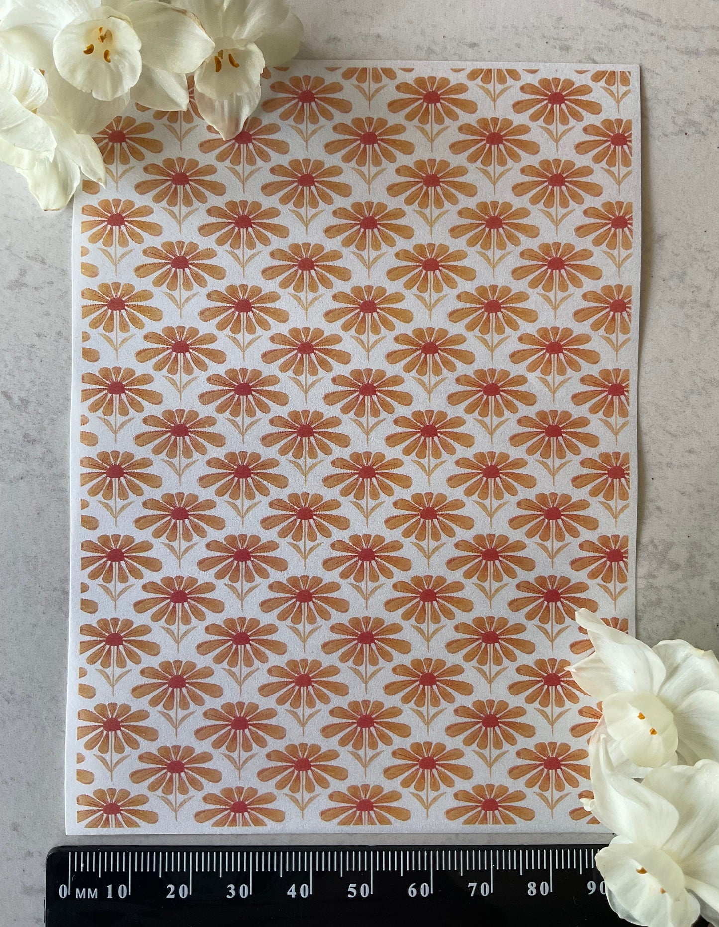 Peach Daisy Field Collab Colour Water Soluble Transfer - Me Oh My Graphics x Coral Cockatoo 18