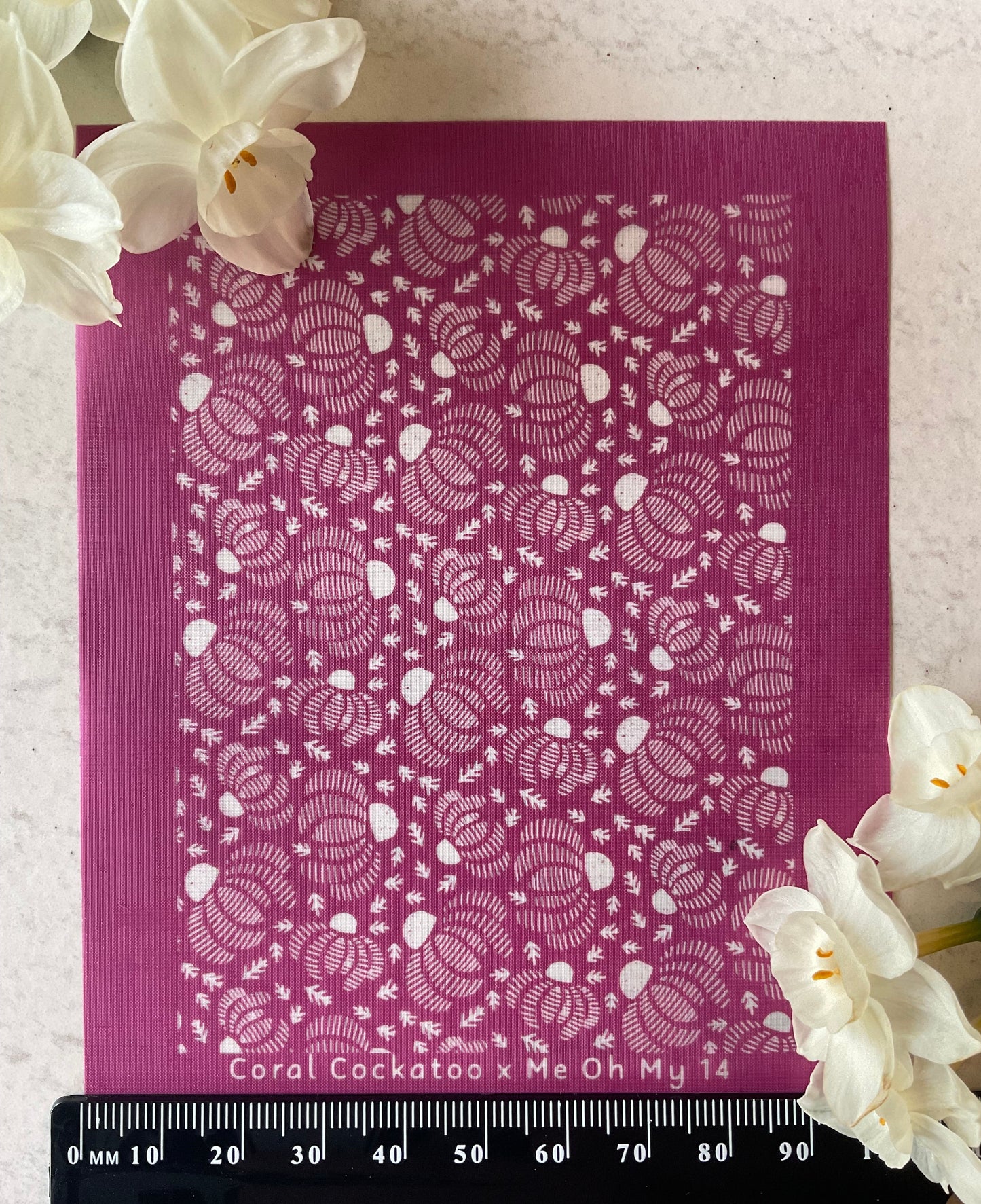 Striped Daisies Collab Silkscreen - Me Oh My Graphics x Coral Cockatoo 14