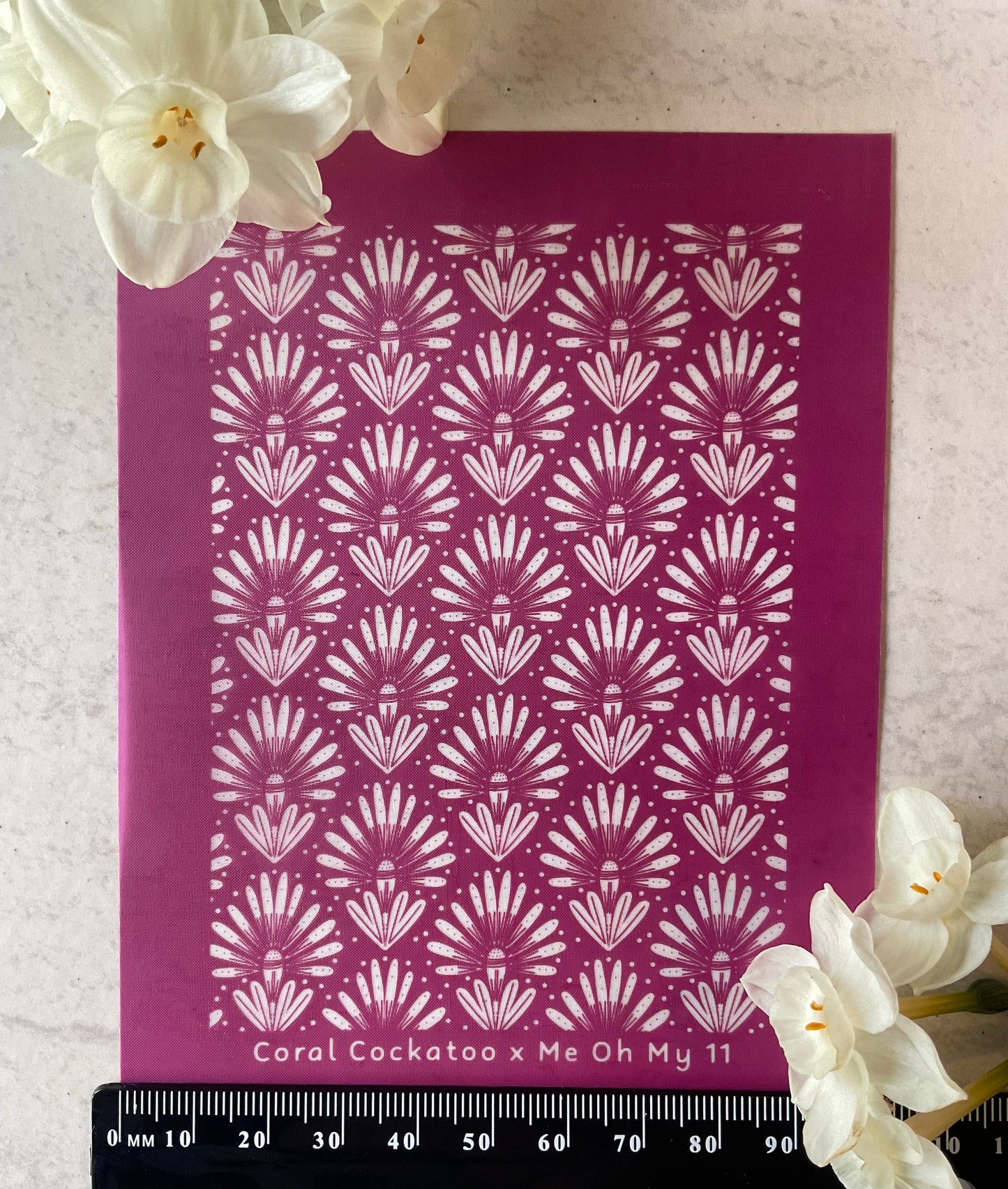 Banksia Fireworks Flowers Collab Silkscreen - Me Oh My Graphics x Coral Cockatoo 11