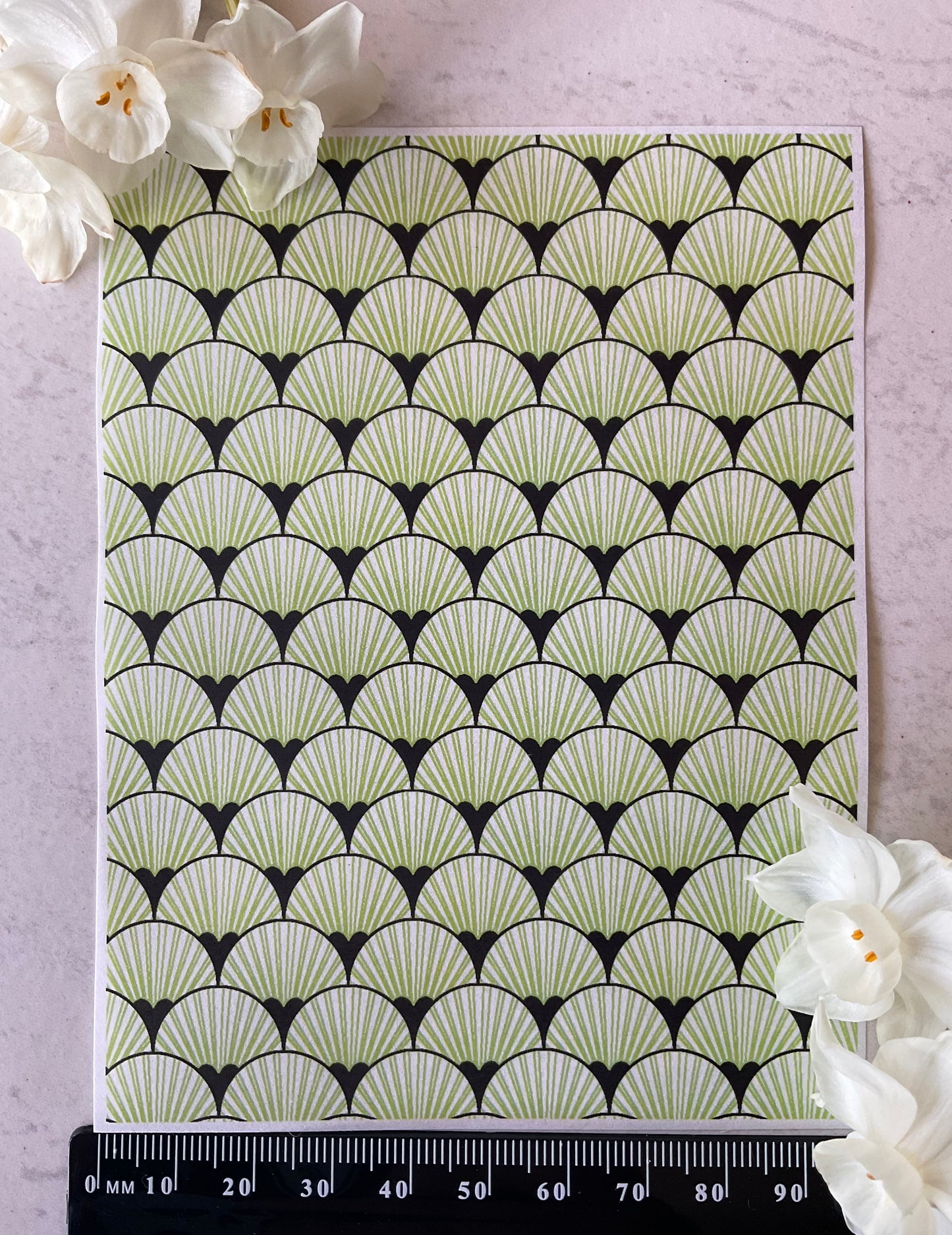 Art Deco Fan Scallops Only in Lime Collab Colour Water Soluble Transfer - Me Oh My Graphics x Coral Cockatoo 33