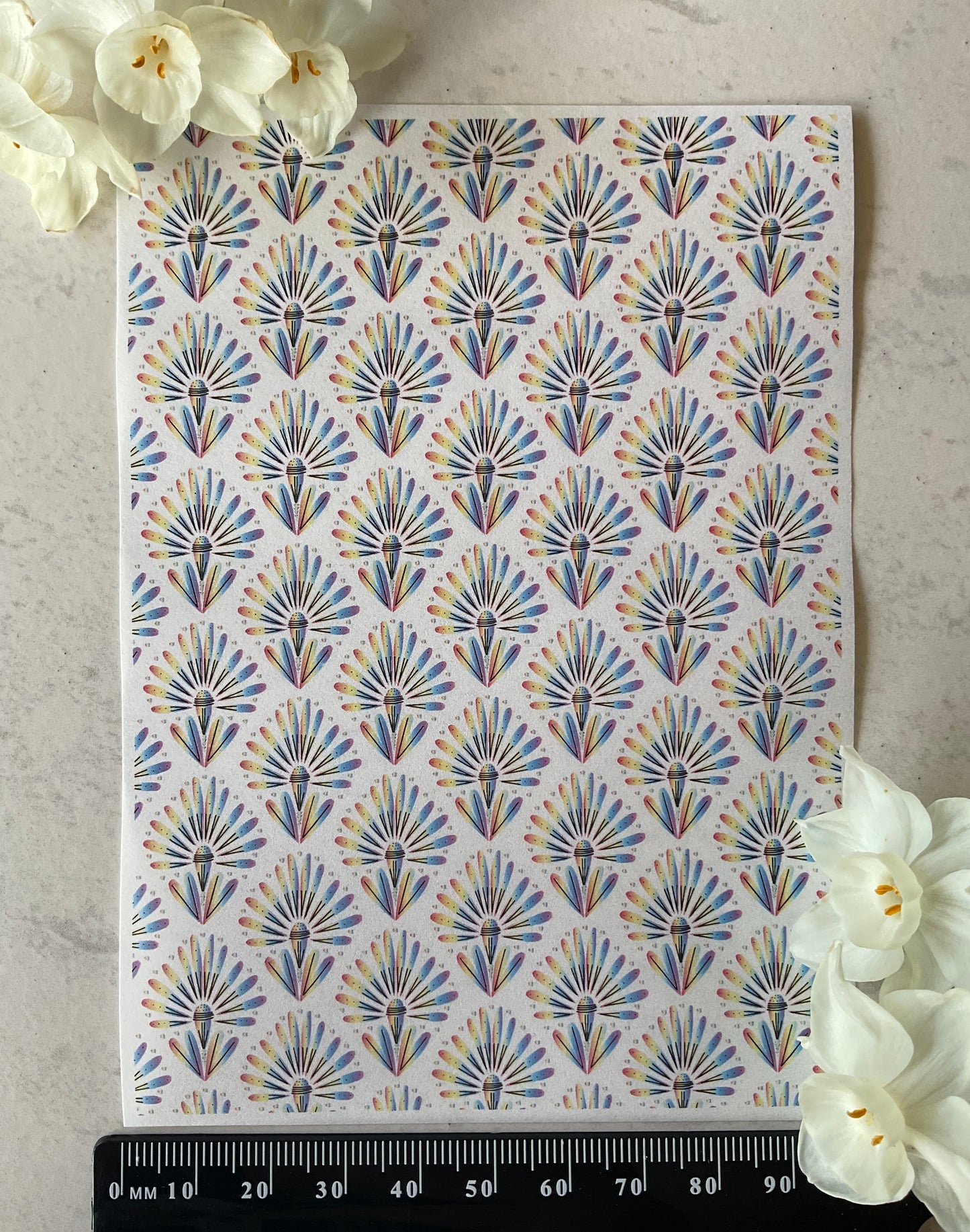 Rainbow Banksia Fireworks Collab Colour Water Soluble Transfer - Me Oh My Graphics x Coral Cockatoo 05