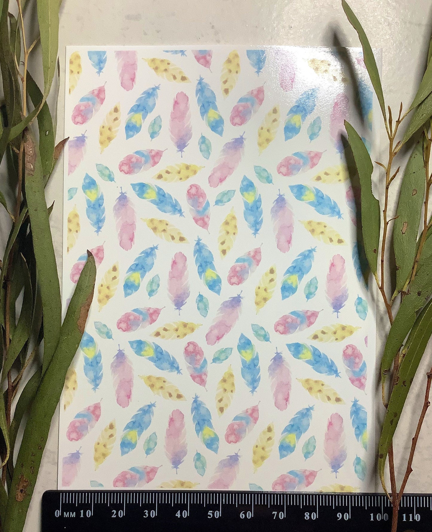 Watercolour Feathers Colour Water Transfer 007