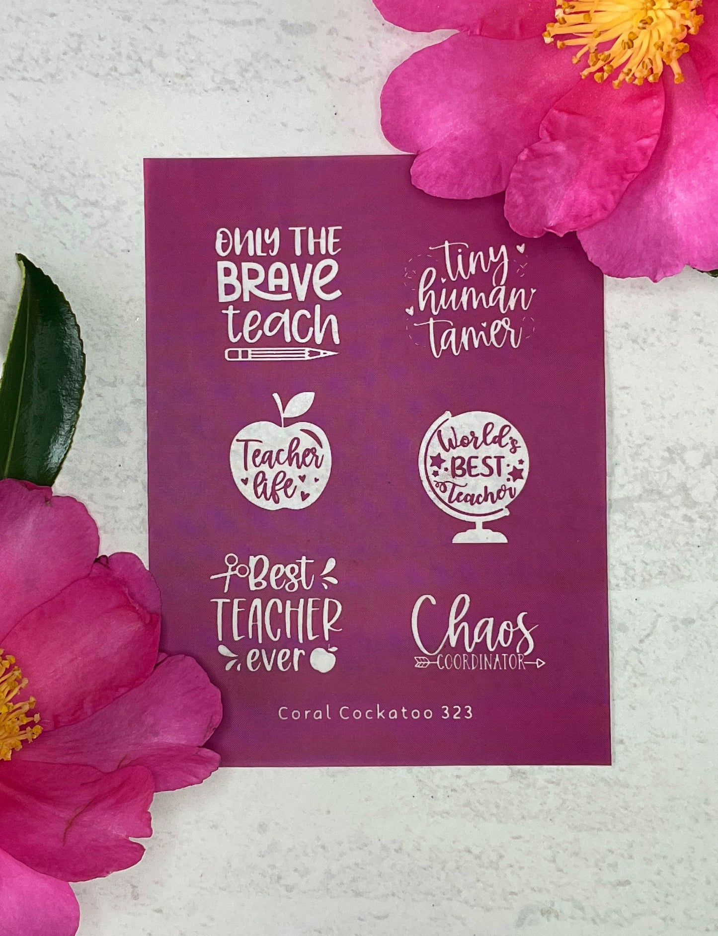 Teacher Appreciation Sayings 323