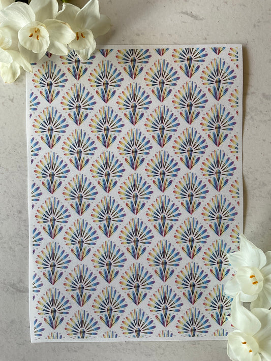 Rainbow Banksia Fireworks Collab Colour Water Soluble Transfer - Me Oh My Graphics x Coral Cockatoo 05