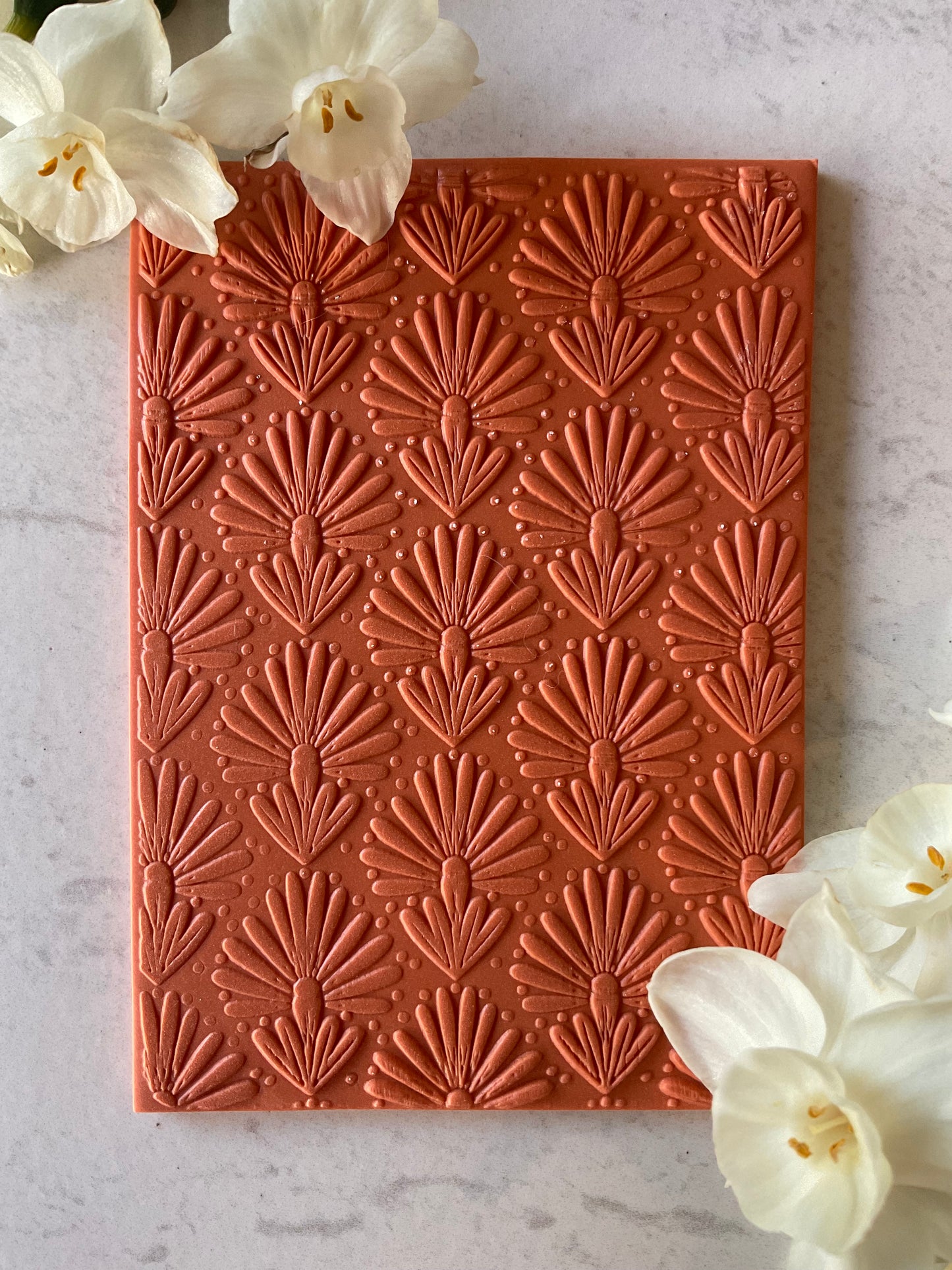 Banksia Flower Fireworks Collab Texture Mat - Me Oh My Graphics x Coral Cockatoo 04