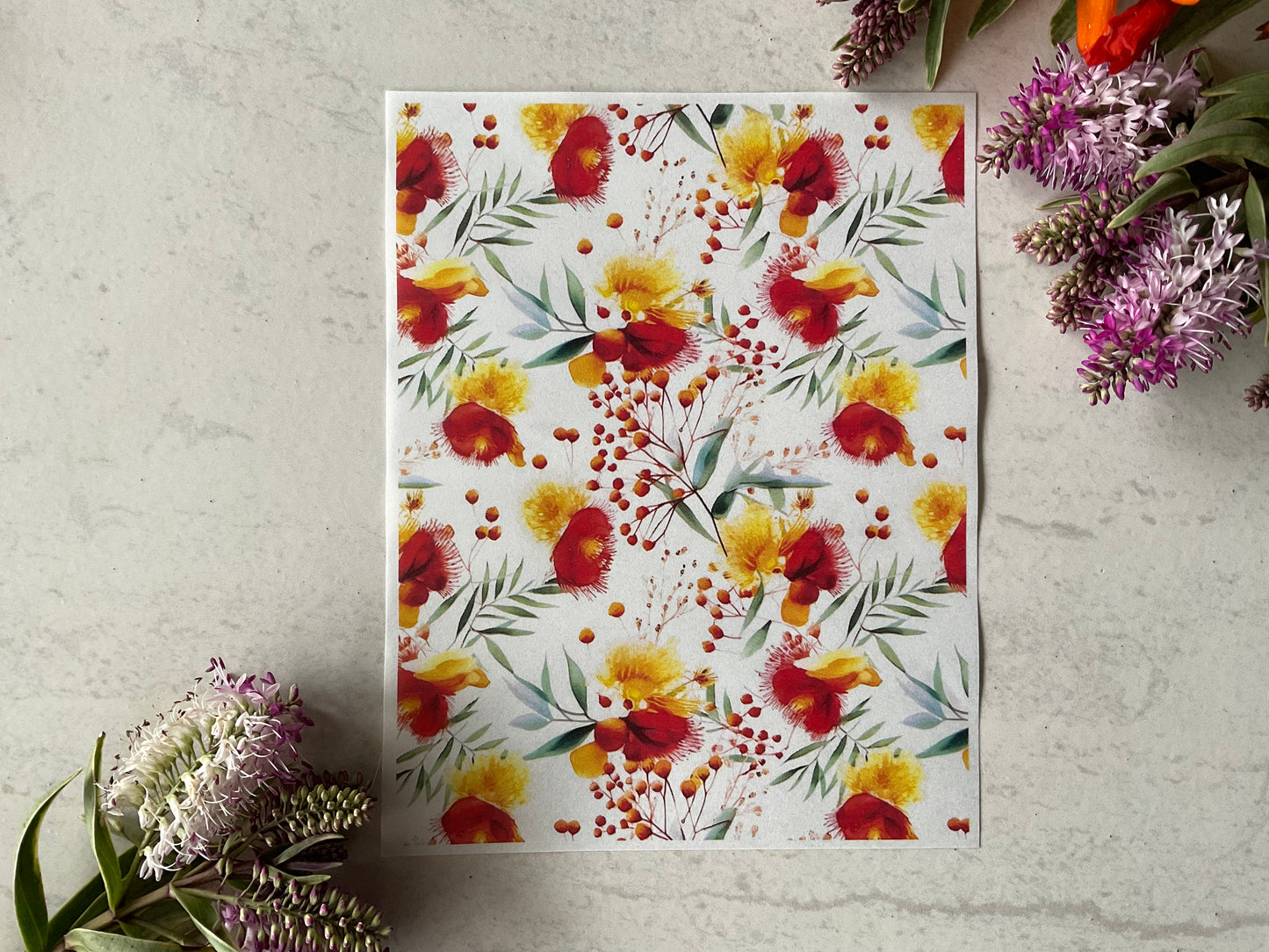 Watercolour Australian Botanicals Patterns - Bold-  Colour Water Soluble Transfer 029