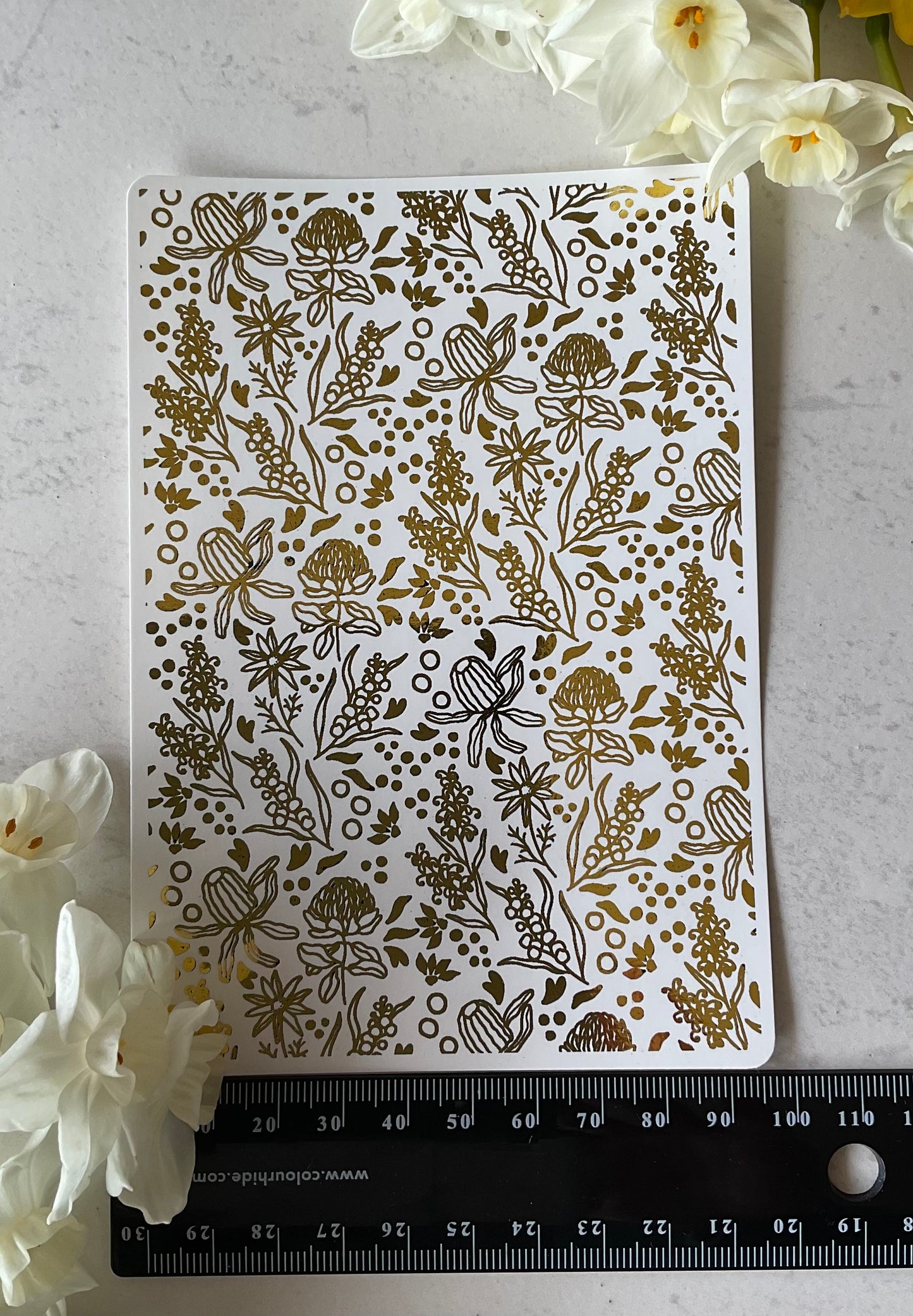 Ditsy Australian Botanicals Banksia & Waratahs Gold Foil 060