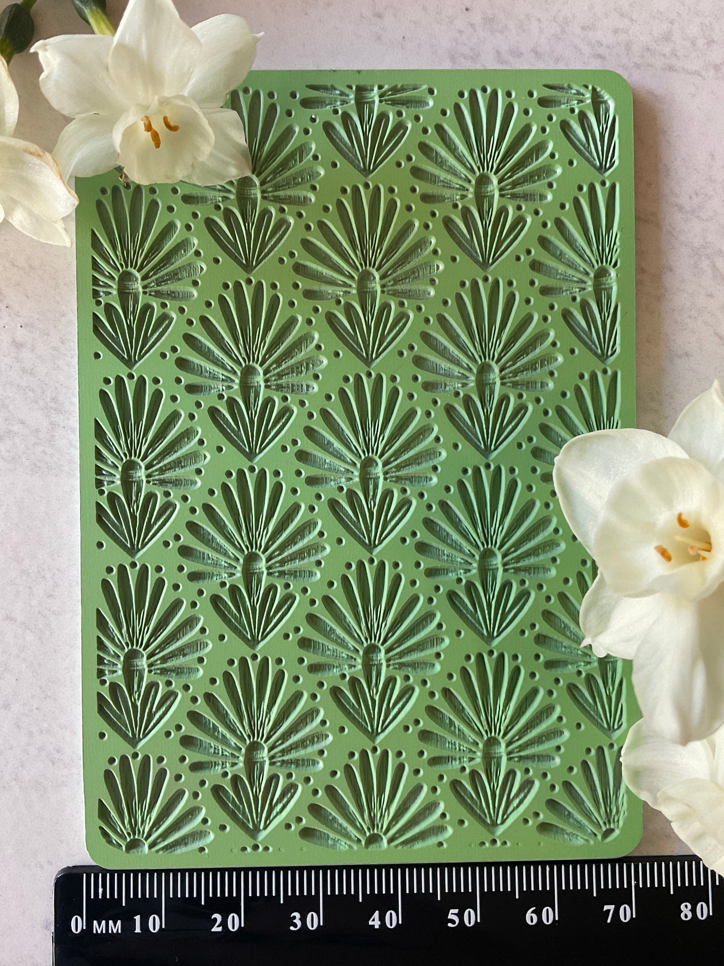 Banksia Flower Fireworks Collab Texture Mat - Me Oh My Graphics x Coral Cockatoo 04
