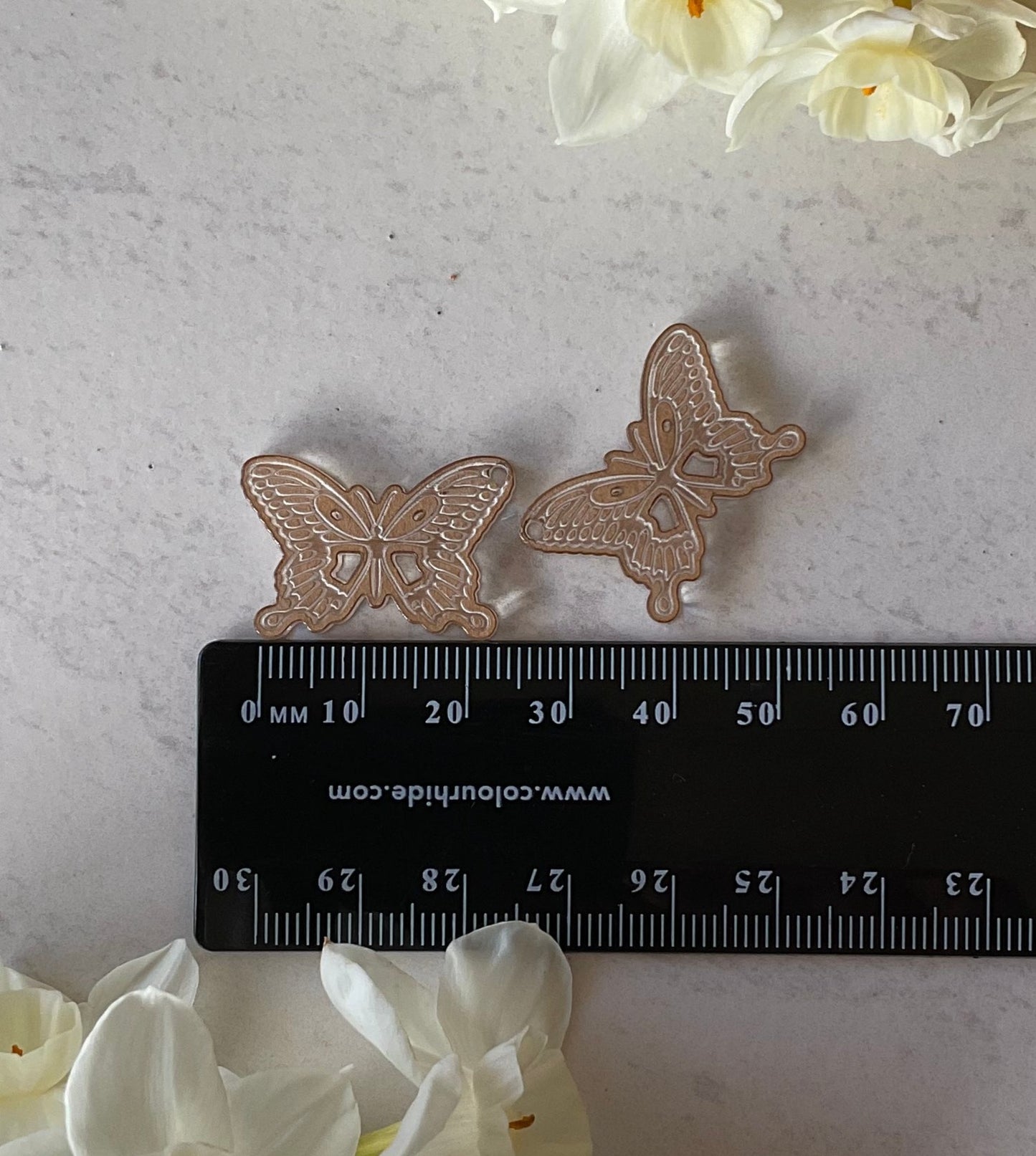 Clear Swallowtail Butterfly Acrylic Charm Pair