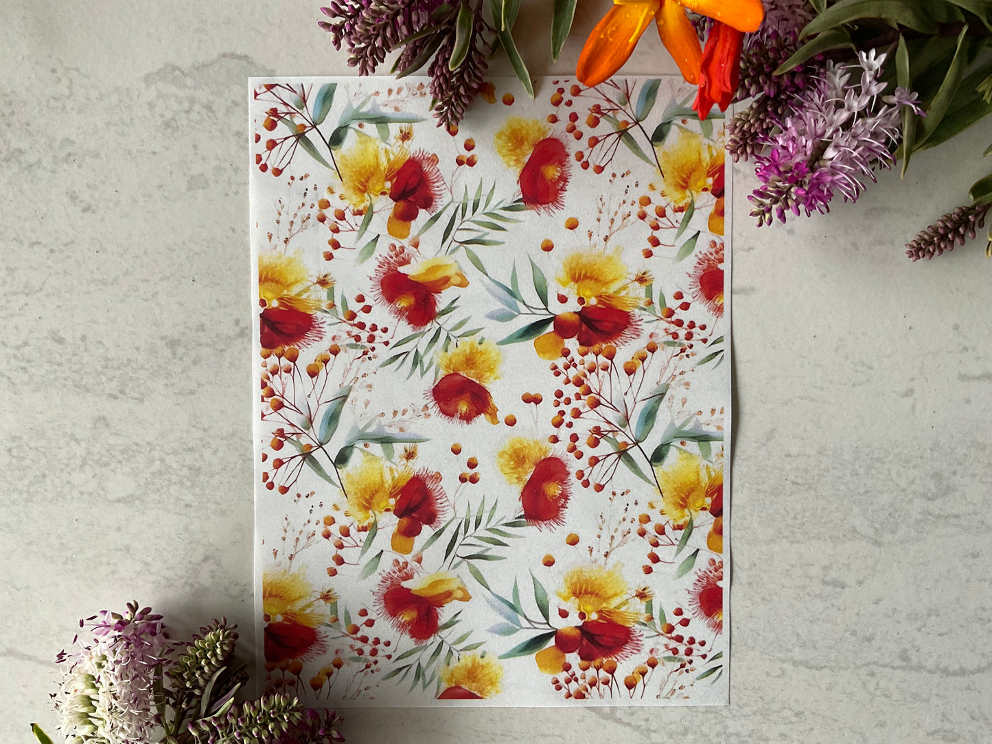 Red Australian Watercolour Botanicals Patterns - Colour Water Soluble Transfer 027