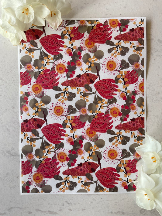 Australian Botanicals in Bloom Collab Colour Water Soluble Transfer - Me Oh My Graphics x Coral Cockatoo 07