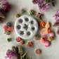 Miniature Succulents Silicone Mold 017