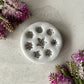 Miniature Succulents Silicone Mold 017