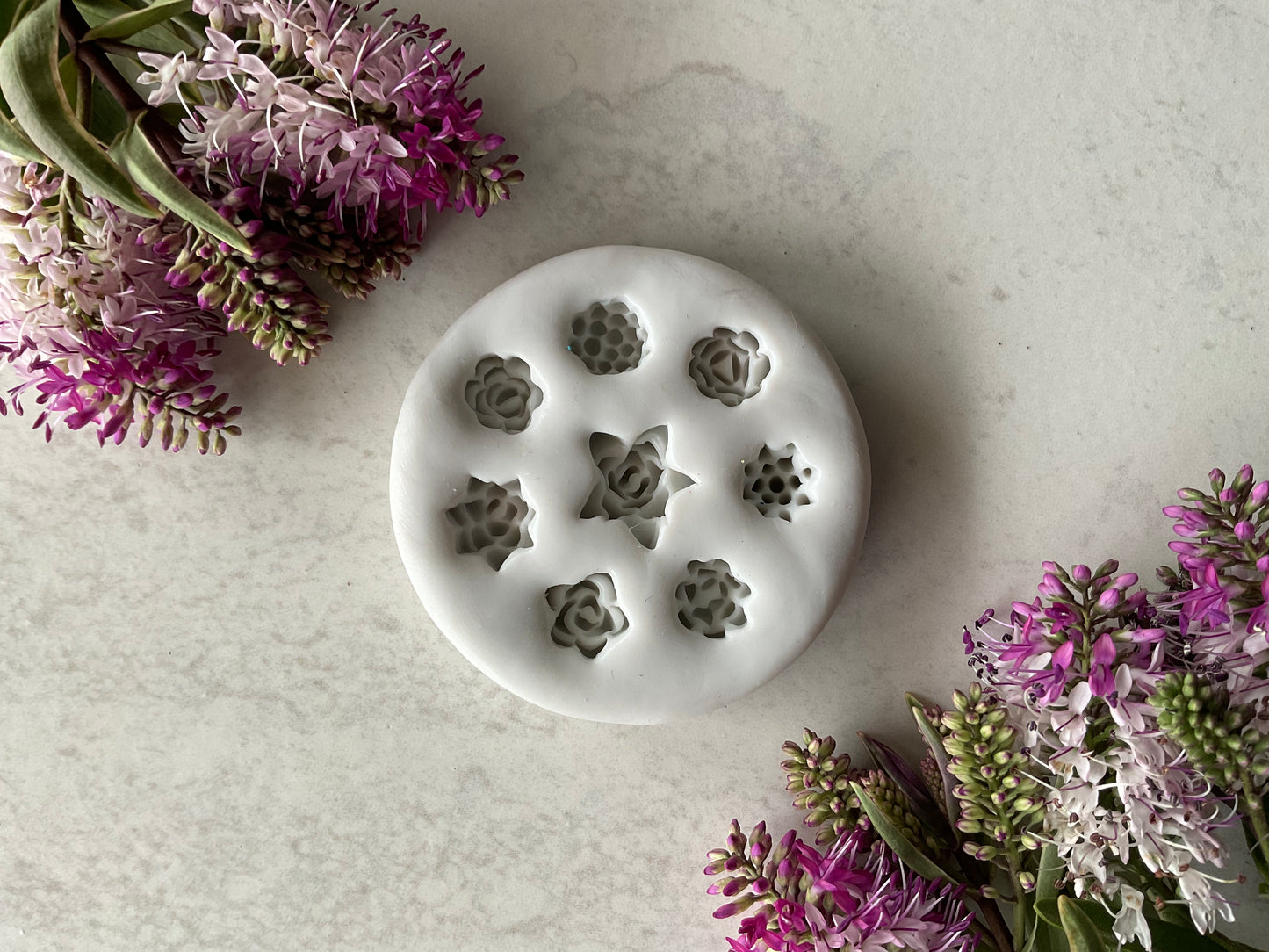 Miniature Succulents Silicone Mold 017