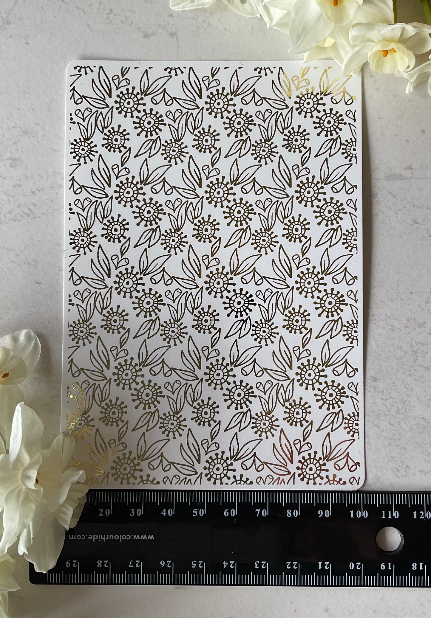 Fiona's Contemporary Eucalyptus Blooms Gold Foil 065