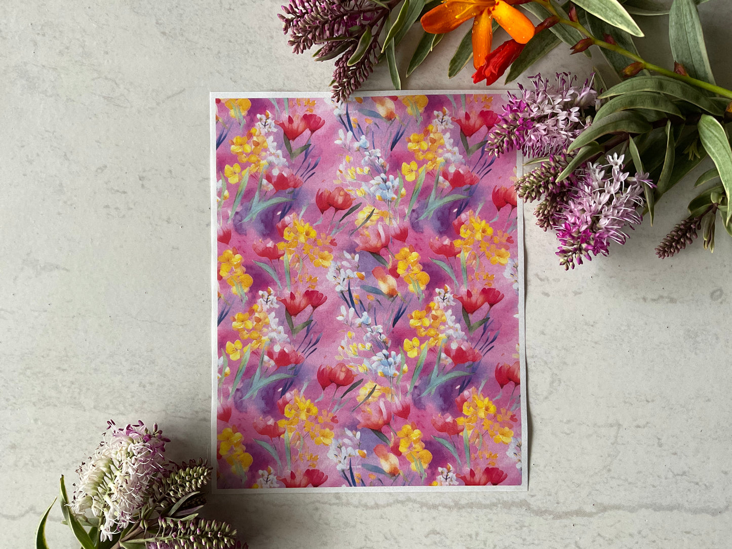 Watercolour Australian Botanicals Patterns - Pastel-  Colour Water Soluble Transfer 028