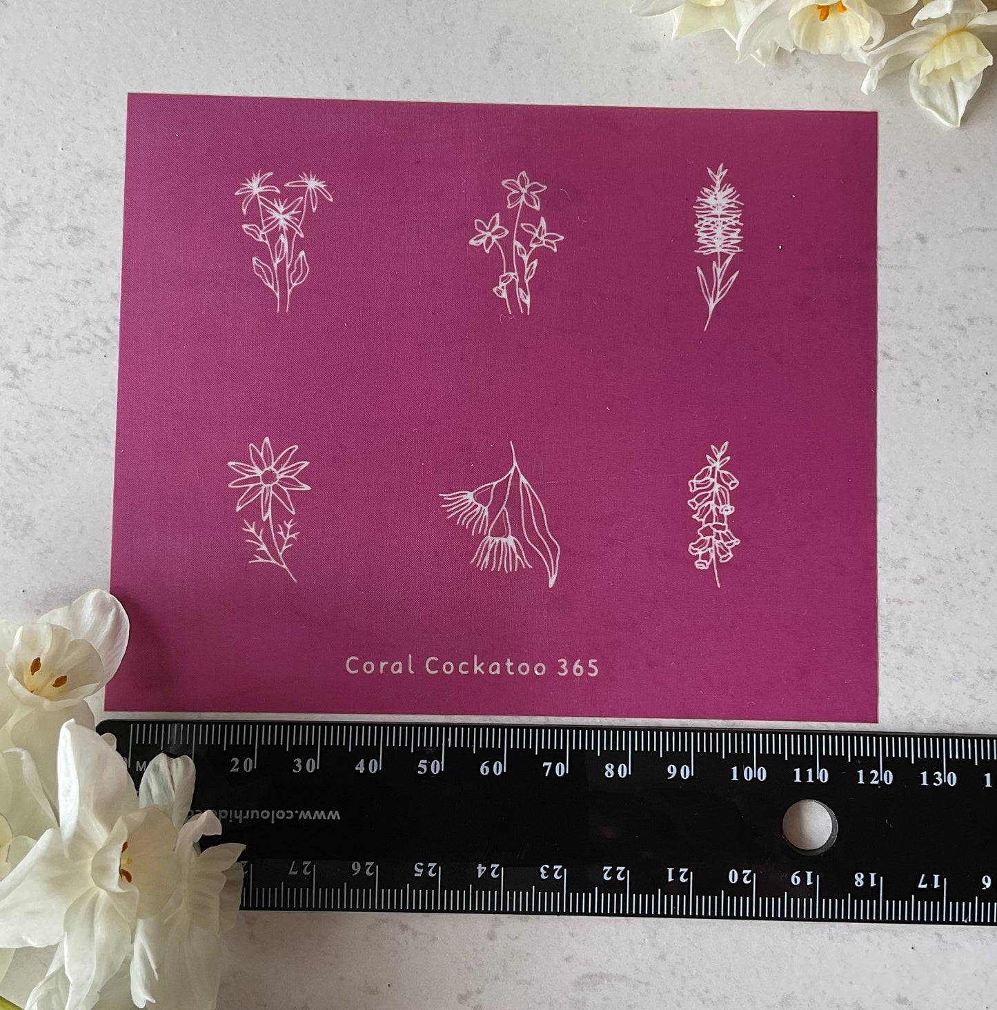 Australian Birth Flowers January - June  Silkscreen 365