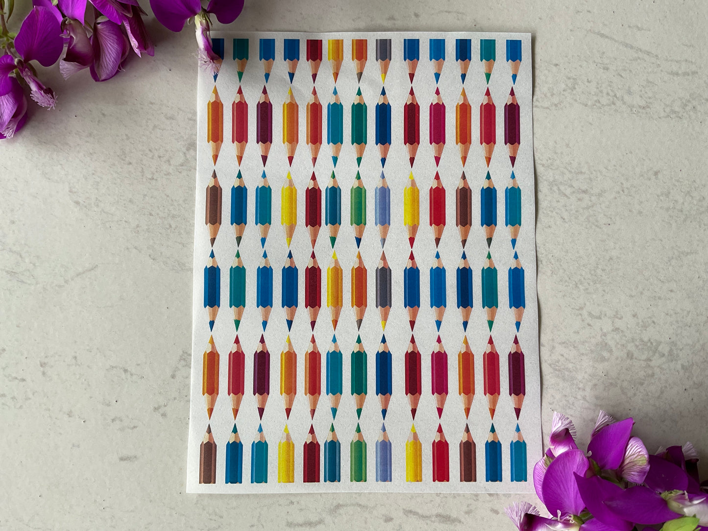 Back to School Colour Water Soluble Transfer 011