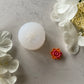 Tiny Daffodil Flower Silicone Mold