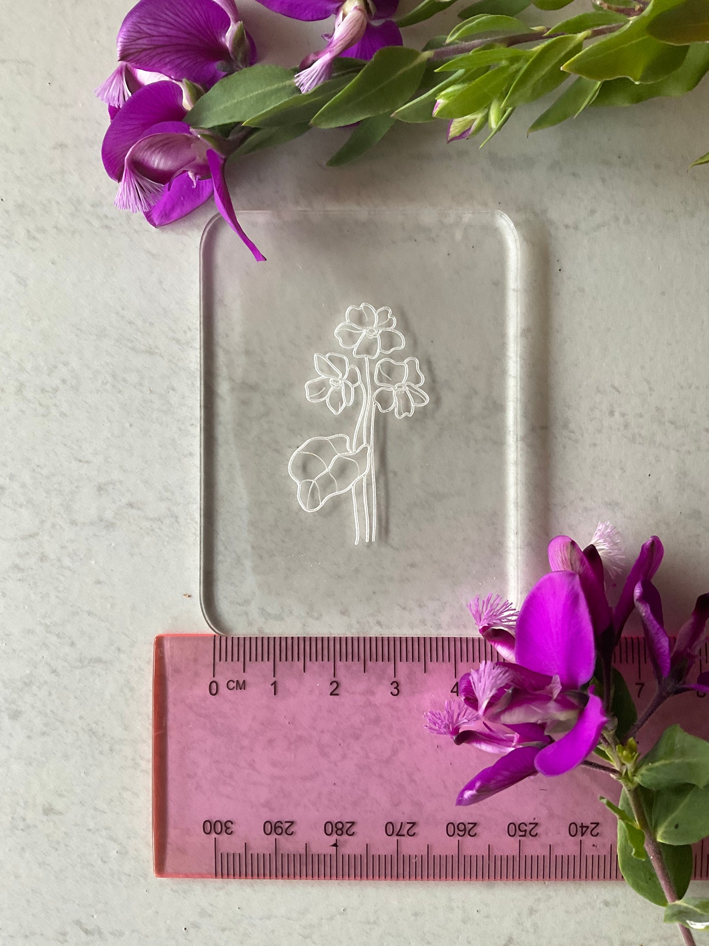 Violet Traditional Birth Flower Acrylic Texture Stamp February