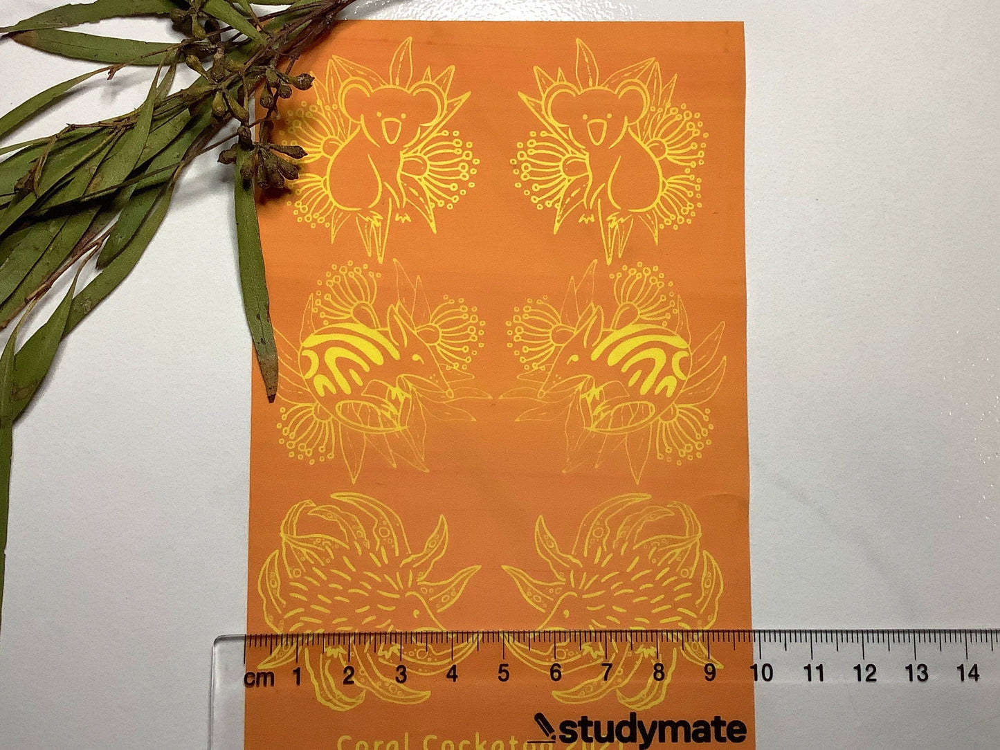 Koala Bandicoot Echidna Earring Pairs Silkscreen 016