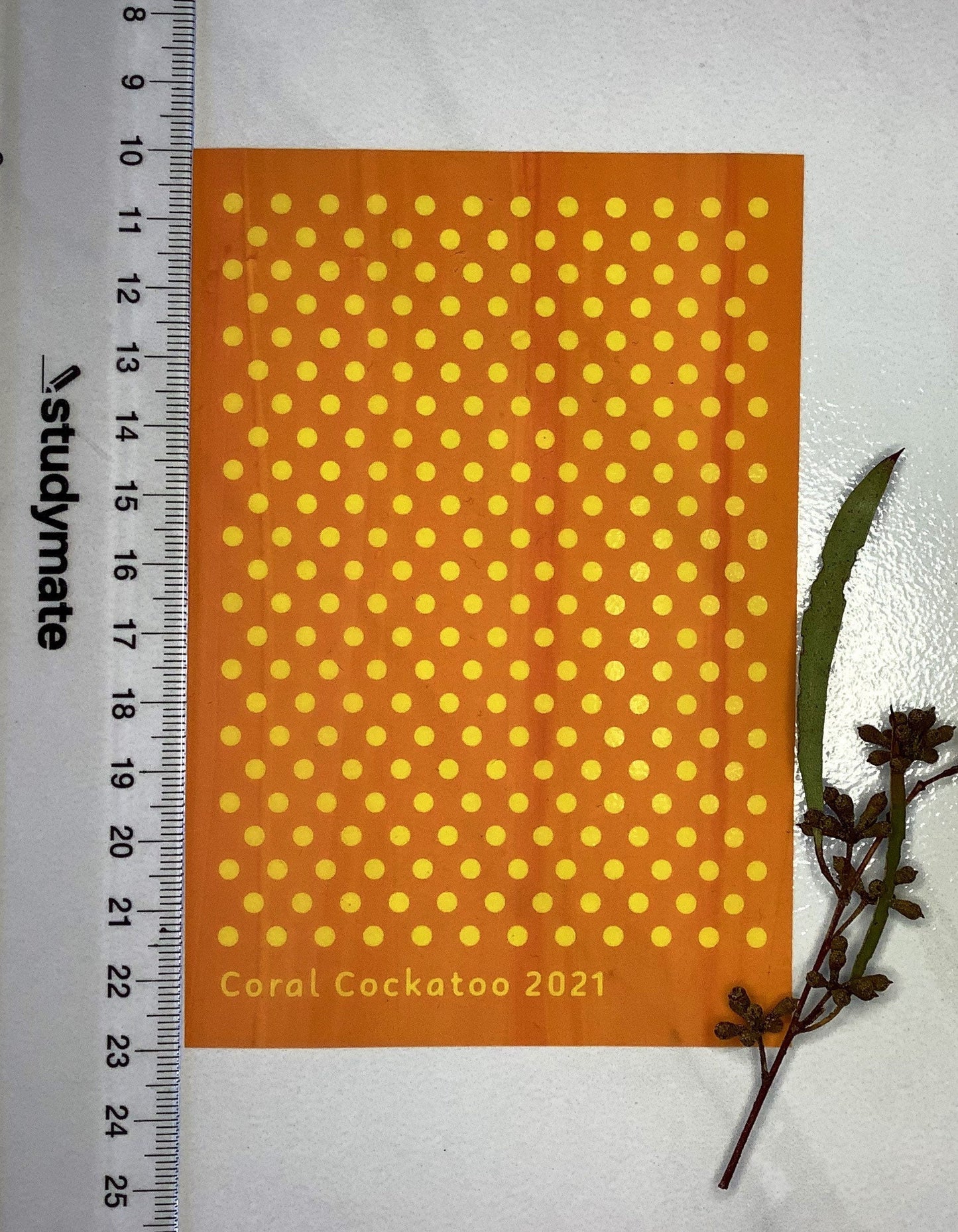 3mm Polka Dot Silkscreen 031