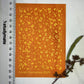 Alphabet Soup Silkscreen 029