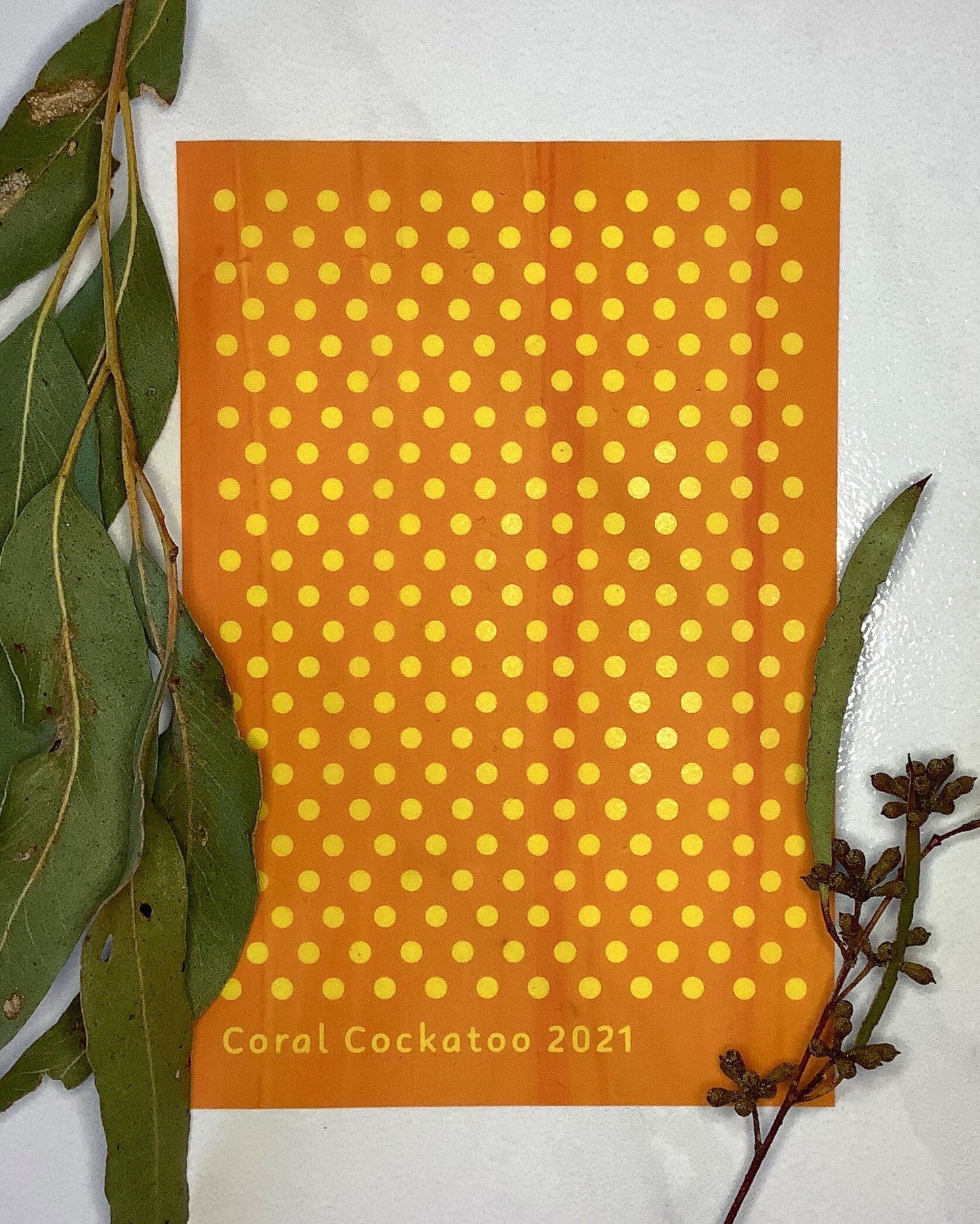 3mm Polka Dot Silkscreen 031