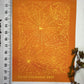 Delicate Spider Webs Pattern Silkscreen 038
