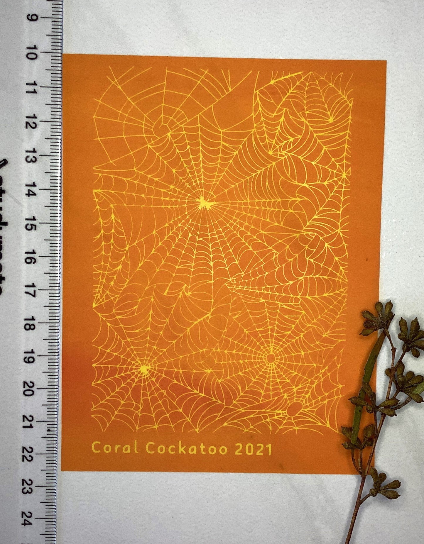 Delicate Spider Webs Pattern Silkscreen 038