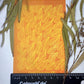 Flowing Leaves Silkscreen 091