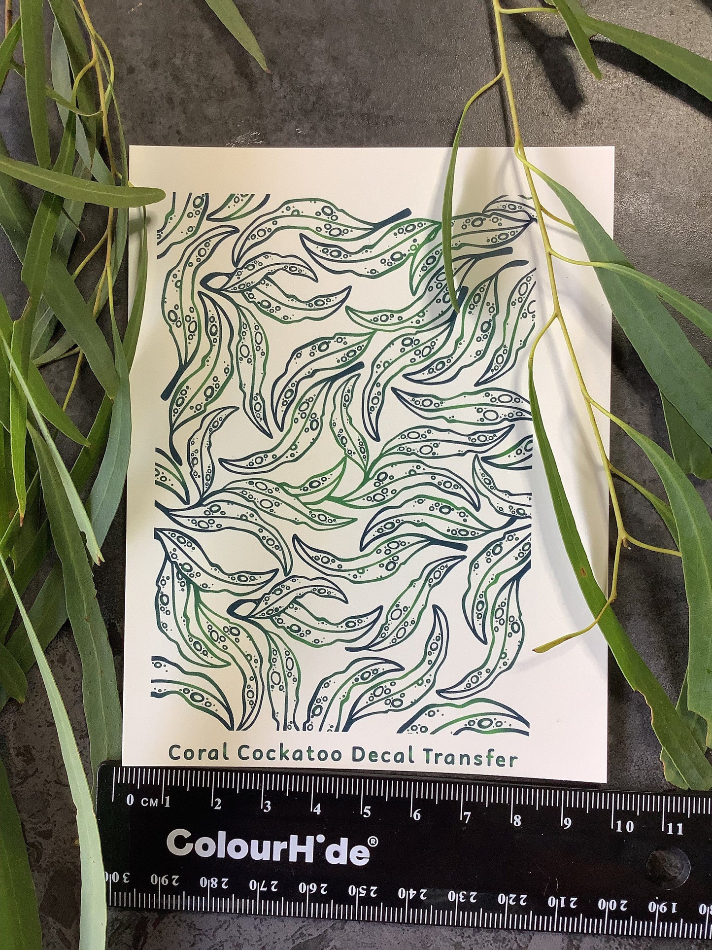 Eucalyptus Leaves Ditsy Print Colour Water Transfer 002