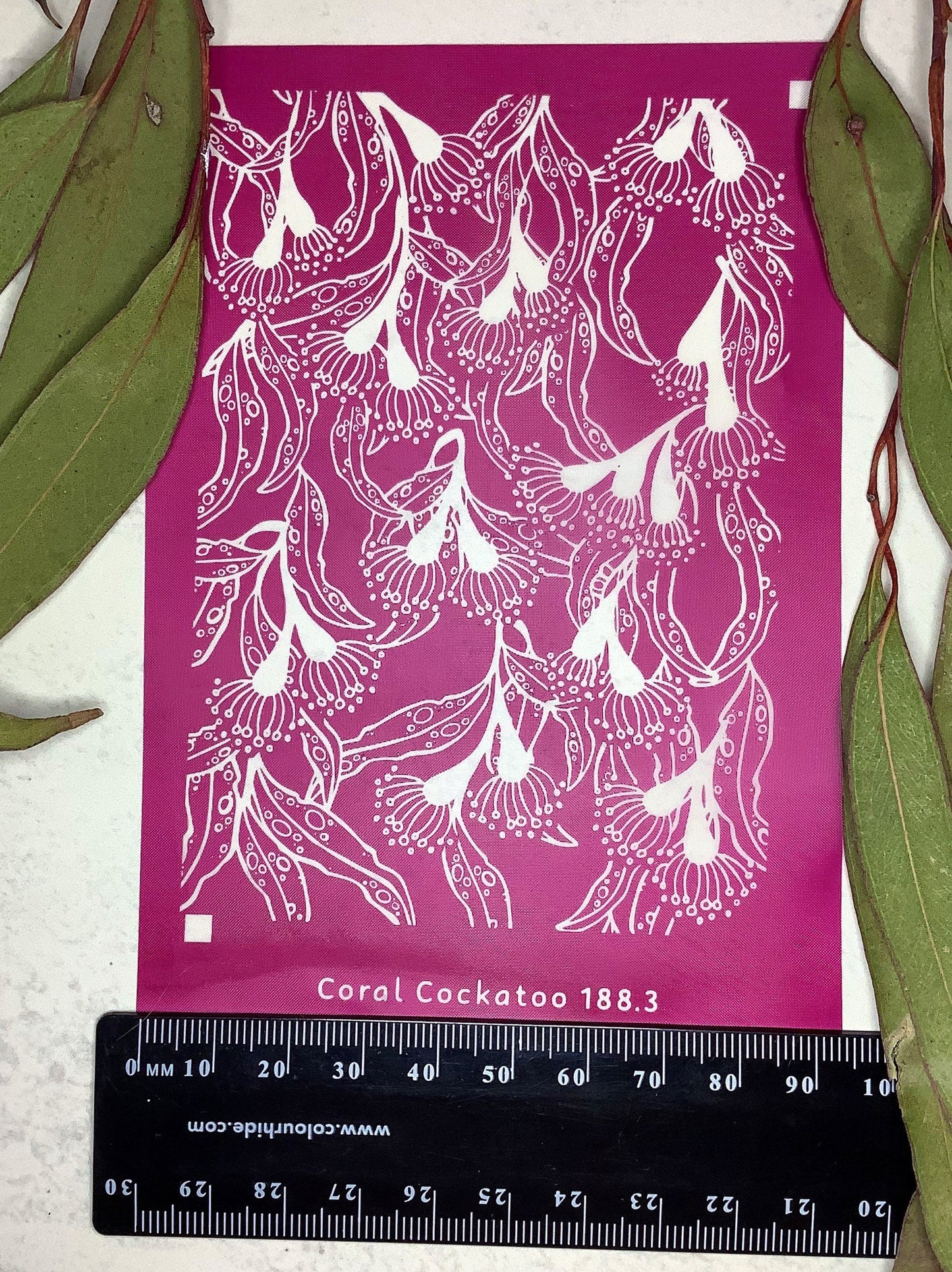 Eucalyptus Blossoms and Leaves 3 Part Silkscreen 188