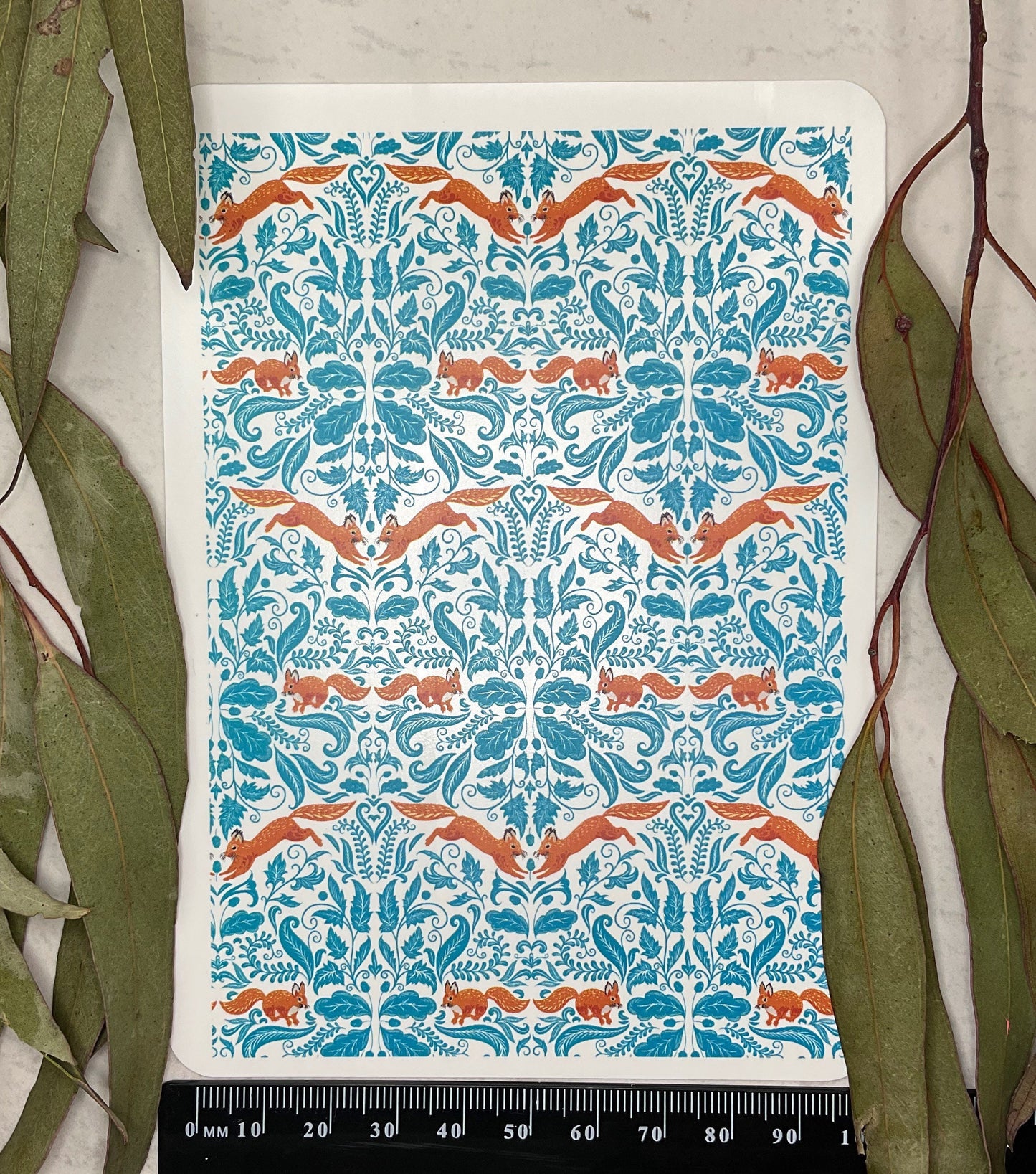 Damask Squirrels Colour Water Transfer 104