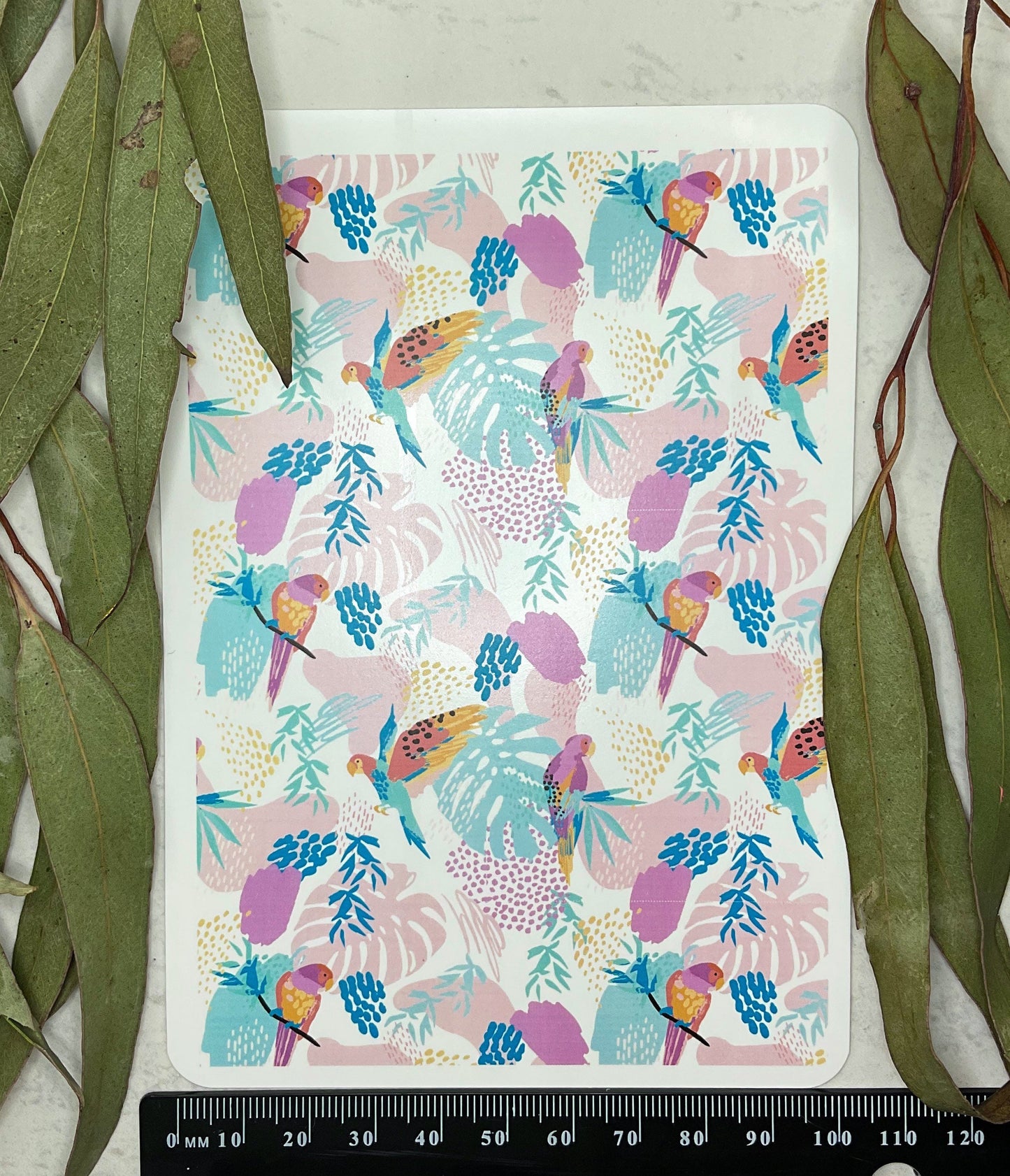 Watercolour Boho Parrots Colour Water Transfer 097