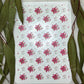 Watercolour Poinsettia Flowers Colour Water Transfer 100