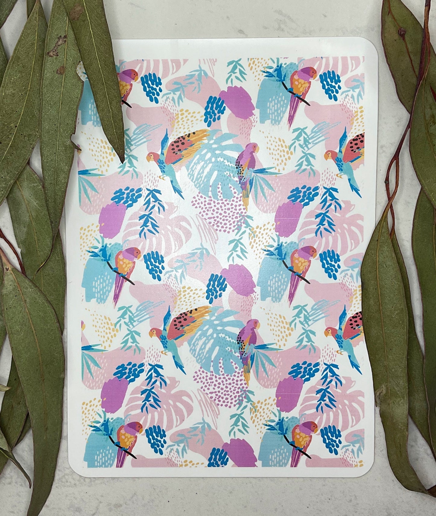 Watercolour Boho Parrots Colour Water Transfer 097