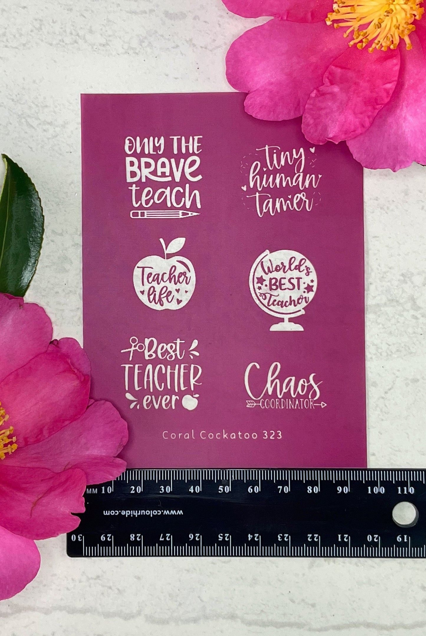 Teacher Appreciation Sayings 323